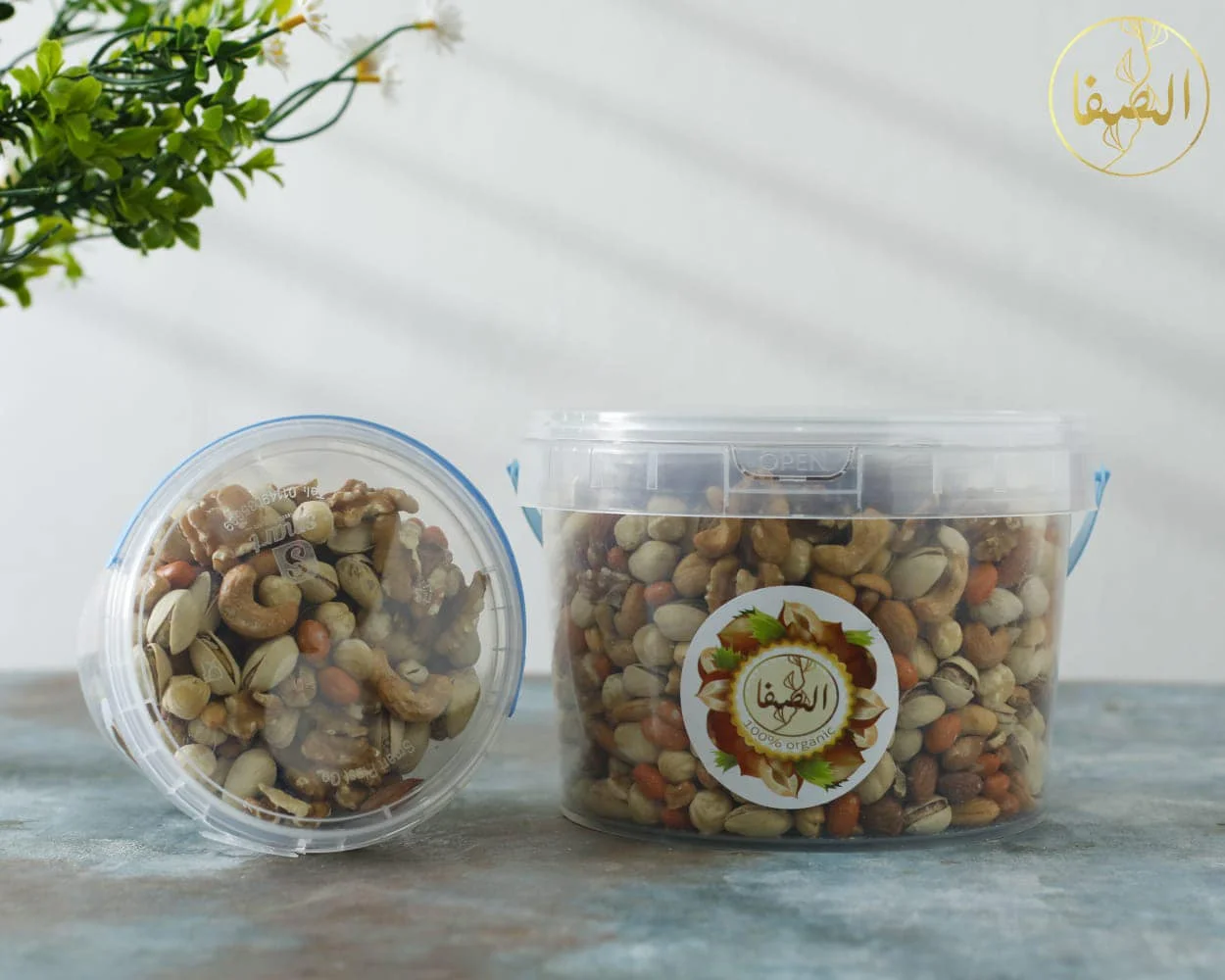 421832134 407224875156212 5036654595529116003 N الرئيسية