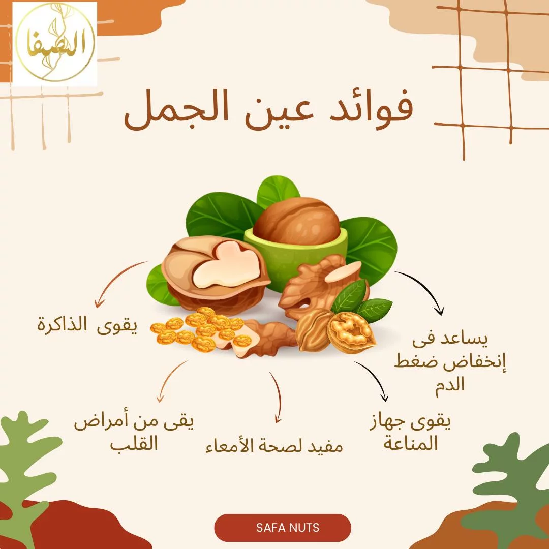 421978900 414997547712278 6054806147344273714 N الرئيسية