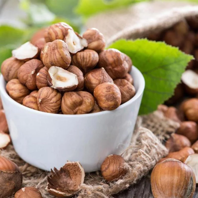 20220320132840325 الرئيسية