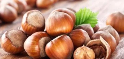 فوائد ومضار البندق فوائد البندق