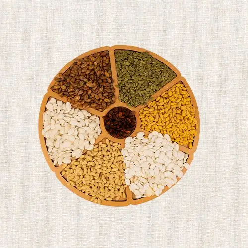 لب 5 الرئيسية